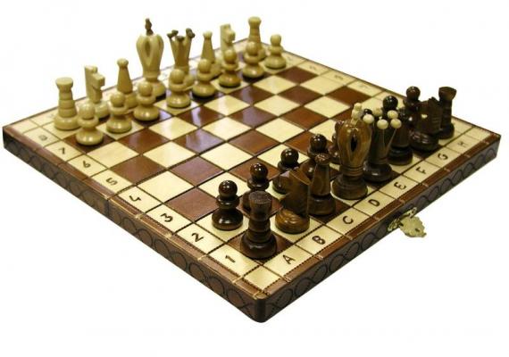 Как научиться играть в шахматы – пошаговый план, описание фигур, советы